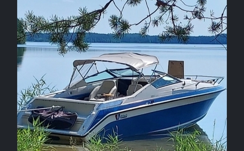 Wellcraft 233 Eclipse-kuva-1